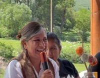 Mónica Beatriz Méndez